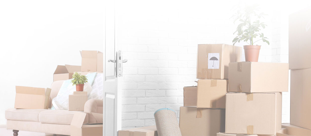 We Müv You logo; Residential moving services; Commercial moving services; Local moving services; Long-distance moving; Professional packing services; Packing supplies; Storage solutions; Moving truck; Professional movers; Furniture moving; Office relocation; Apartment moving; Piano moving; Pool table movers; Gun safe movers; Full-service moving company; Trustworthy movers; Stress-free moving; Customer satisfaction.